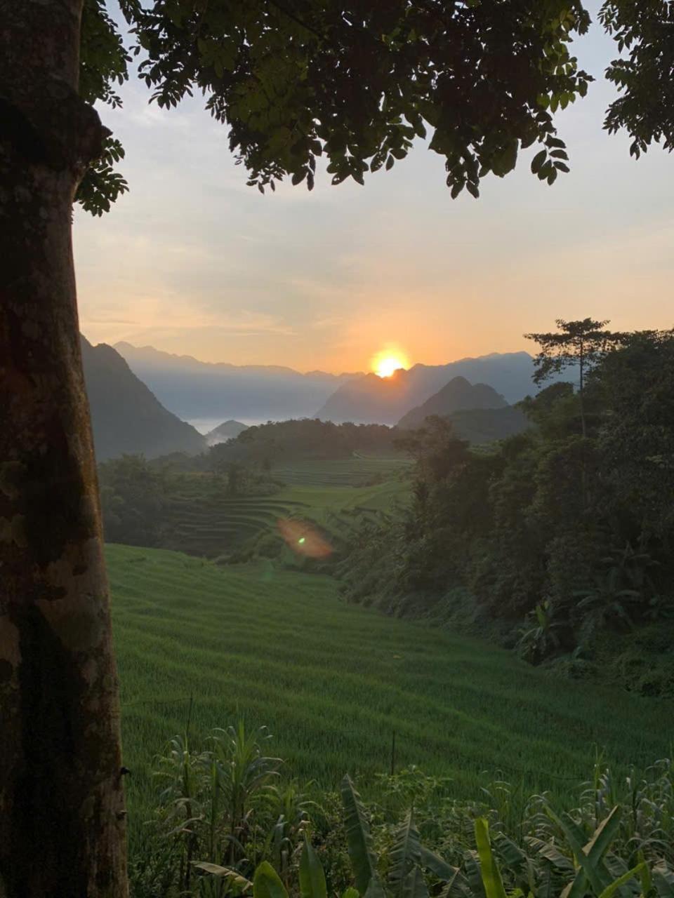 Puluong Aroma Bed & Breakfast Huong Ba Thuoc Dış mekan fotoğraf