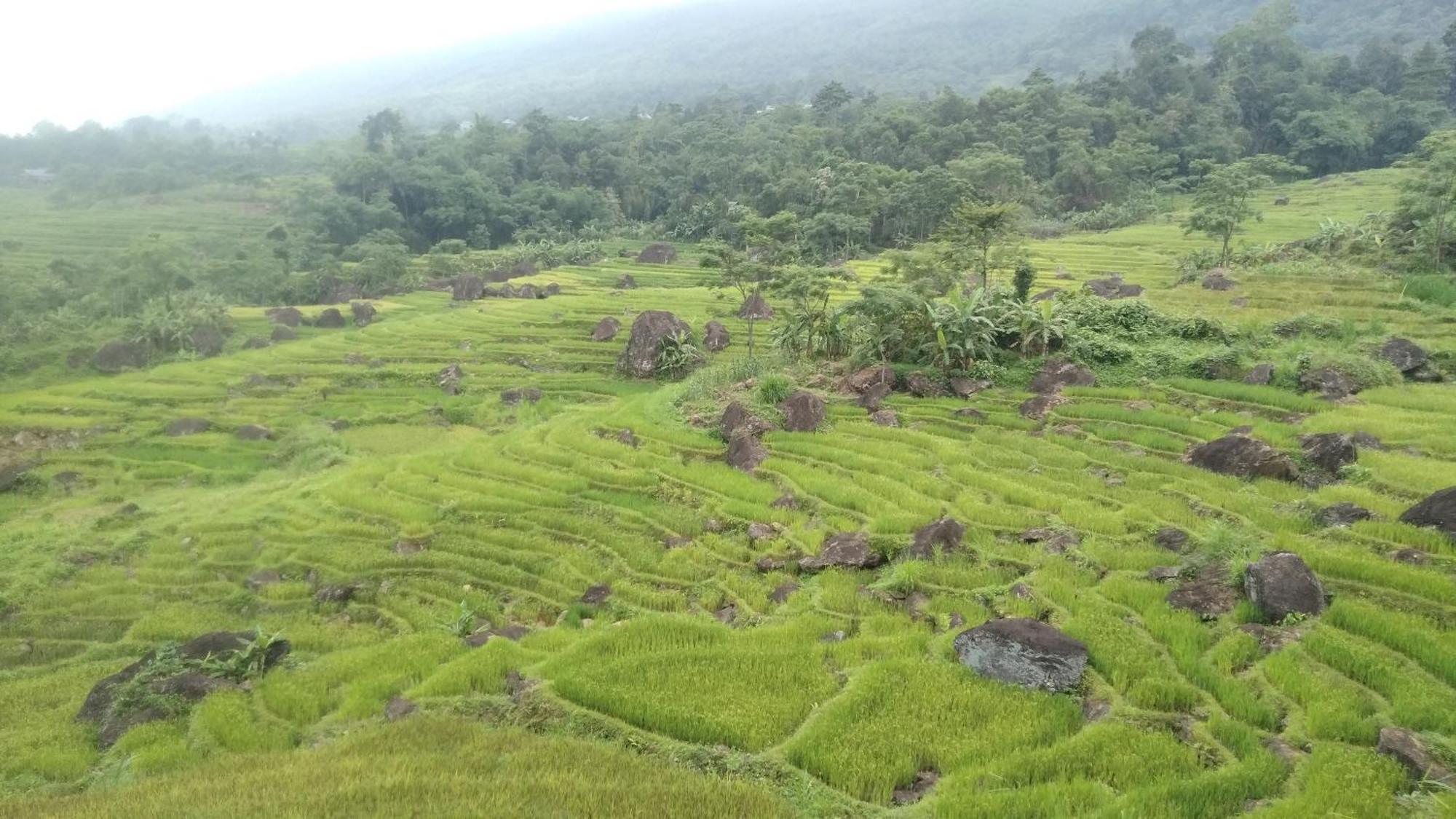 Puluong Aroma Bed & Breakfast Huong Ba Thuoc Dış mekan fotoğraf