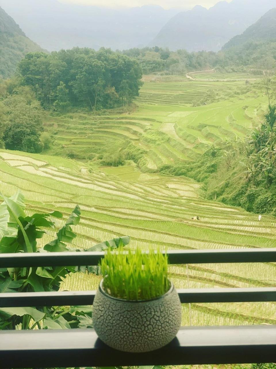 Puluong Aroma Bed & Breakfast Huong Ba Thuoc Dış mekan fotoğraf