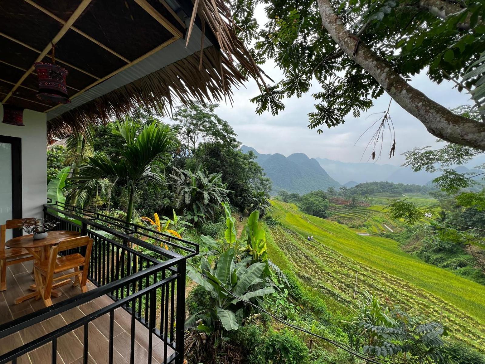Puluong Aroma Bed & Breakfast Huong Ba Thuoc Dış mekan fotoğraf